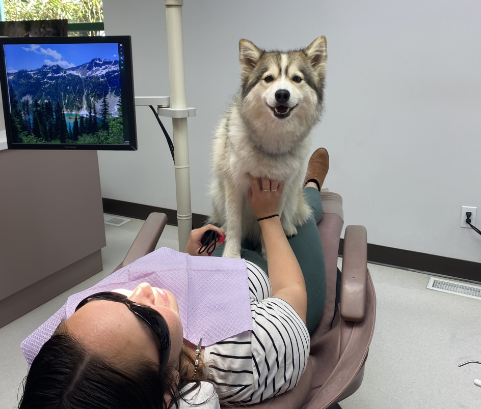 Koda sitting up on patient.